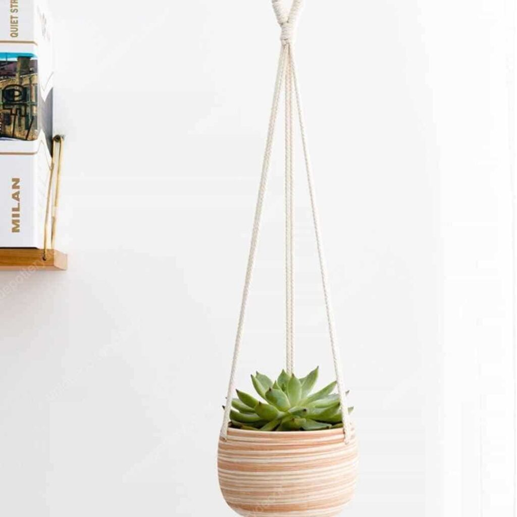 a Ceramic Hanging Planter