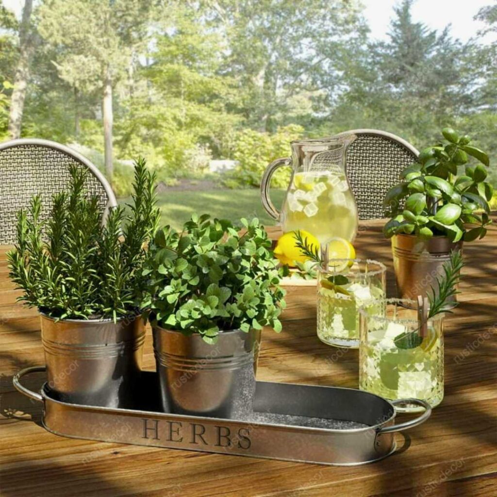 Galvanized Metal Planters