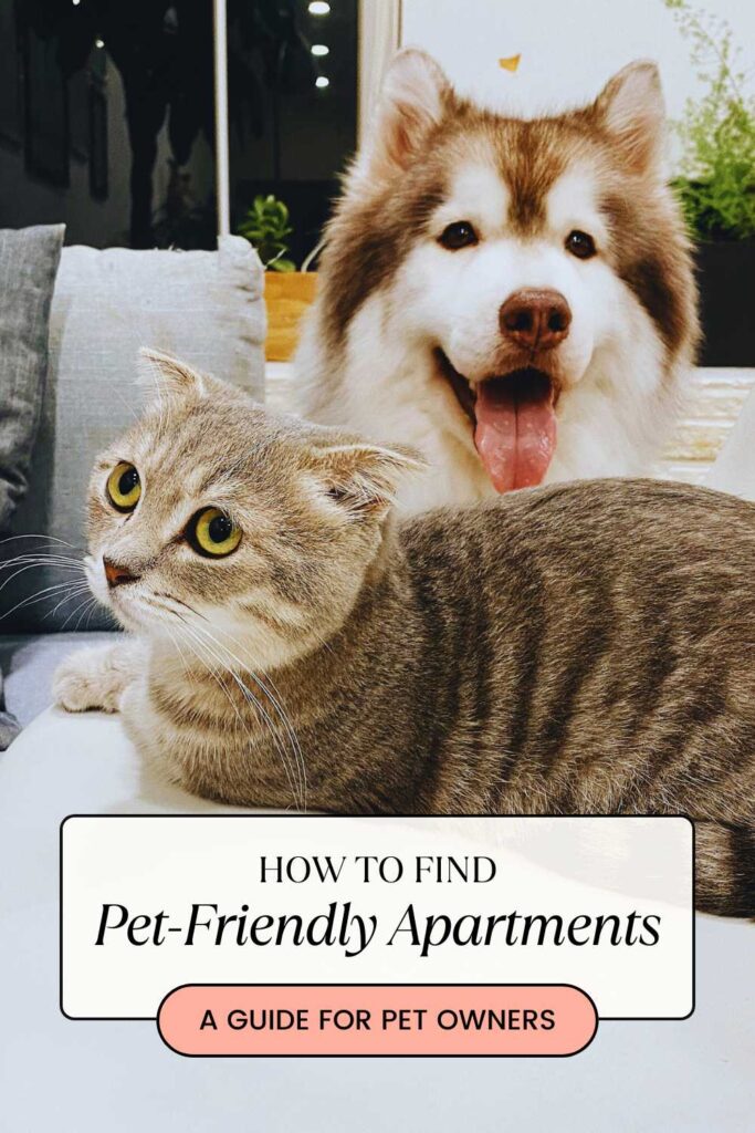 How to Find Pet-Friendly Apartments Pinterest Pin