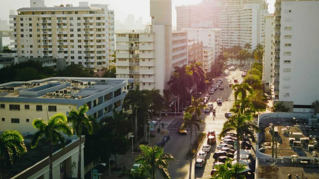 a city street with buildings and pal trees