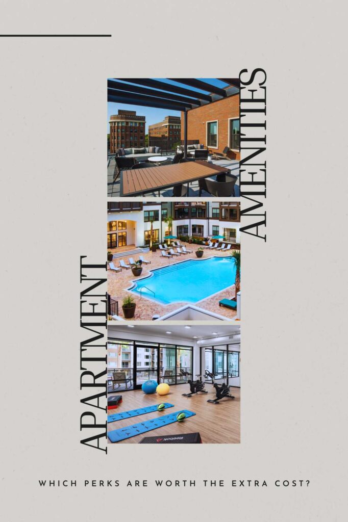 apartment amenities decoded pinterest pin