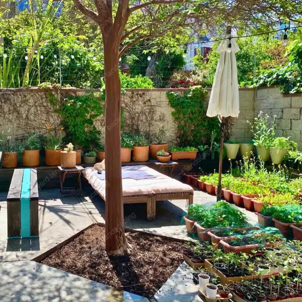 backyard with plants in pots