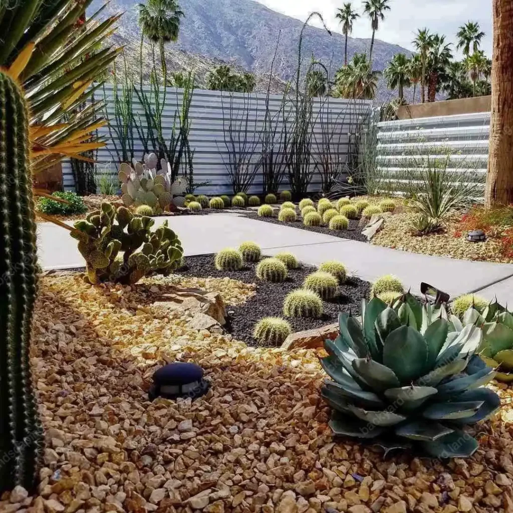 desert style backyard lanscaping