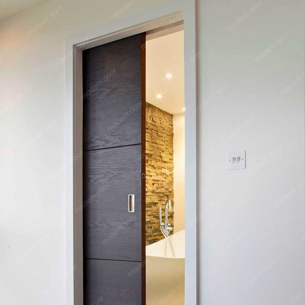 modern pocket door