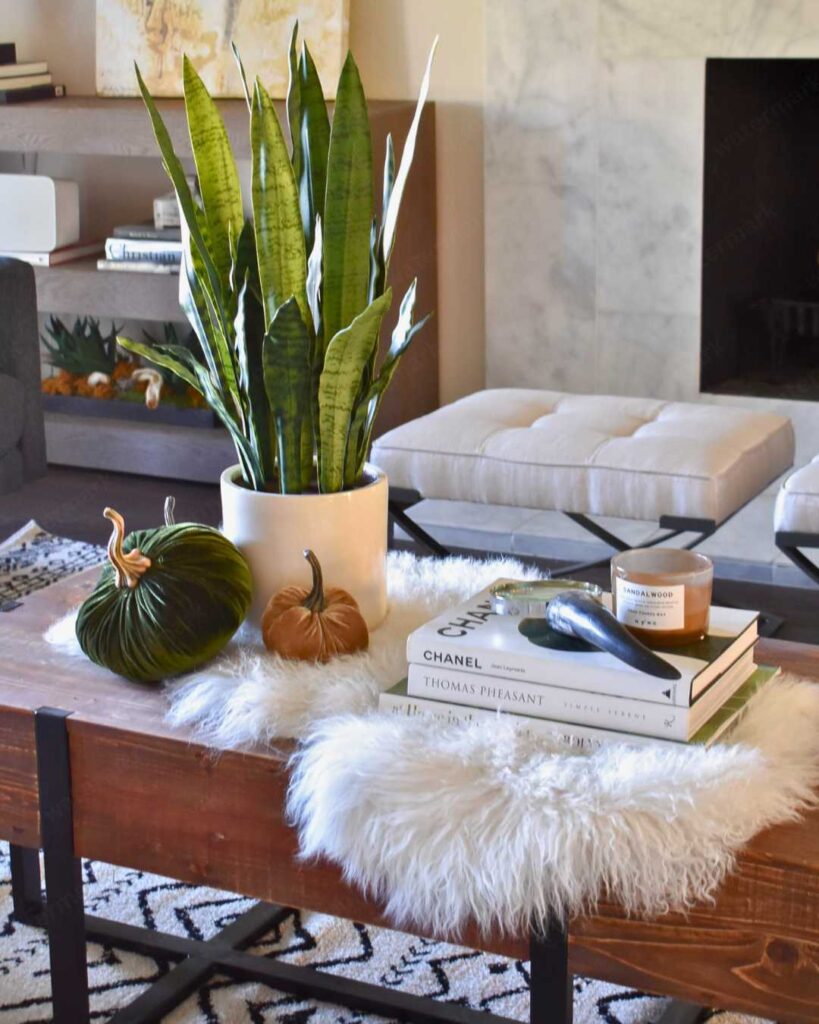 Fall Coffee Table Decoration Idea