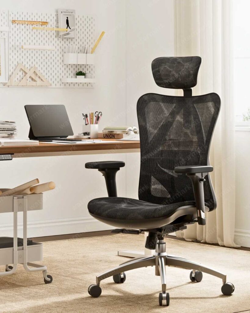 SIHOO M57 Ergonomic Office Chair