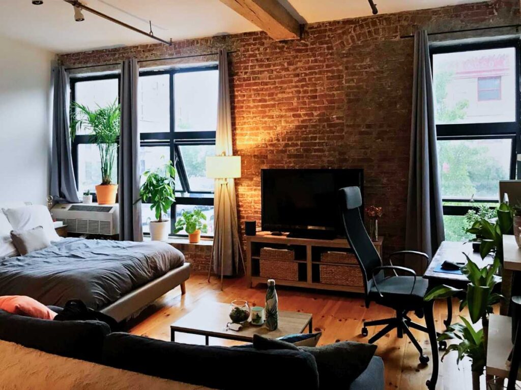 a masculine studio apartment with plants